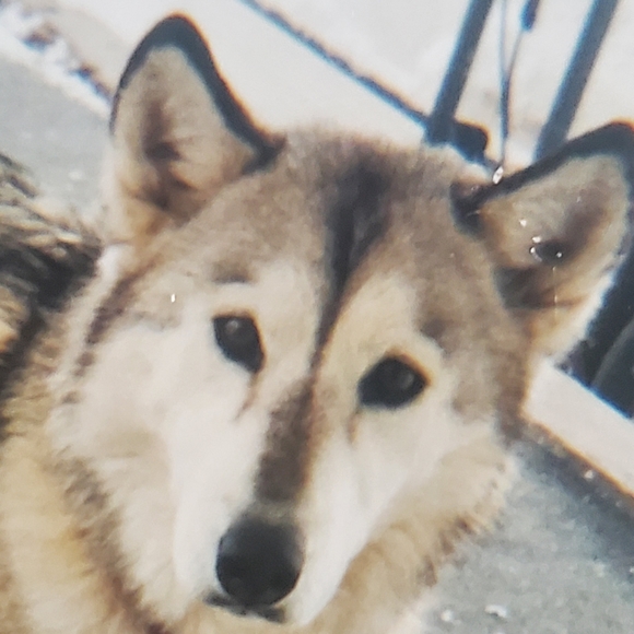 Meet your Posher, Charleen - Picture 4 of 13